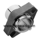 AES CONII Cartridge mechanical seal